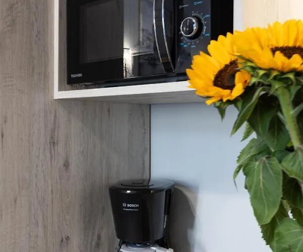 Dave Elegant Old Town 3*