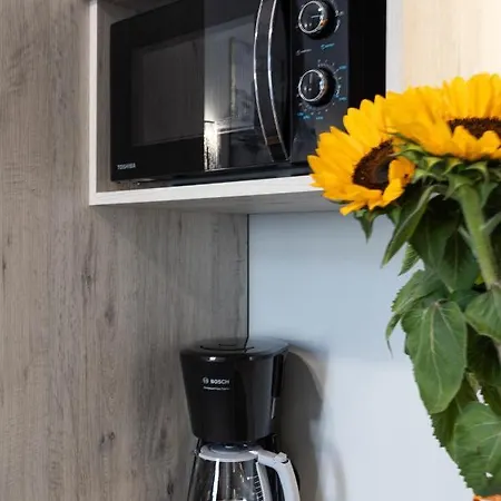 Dave Elegant Old Town 3*